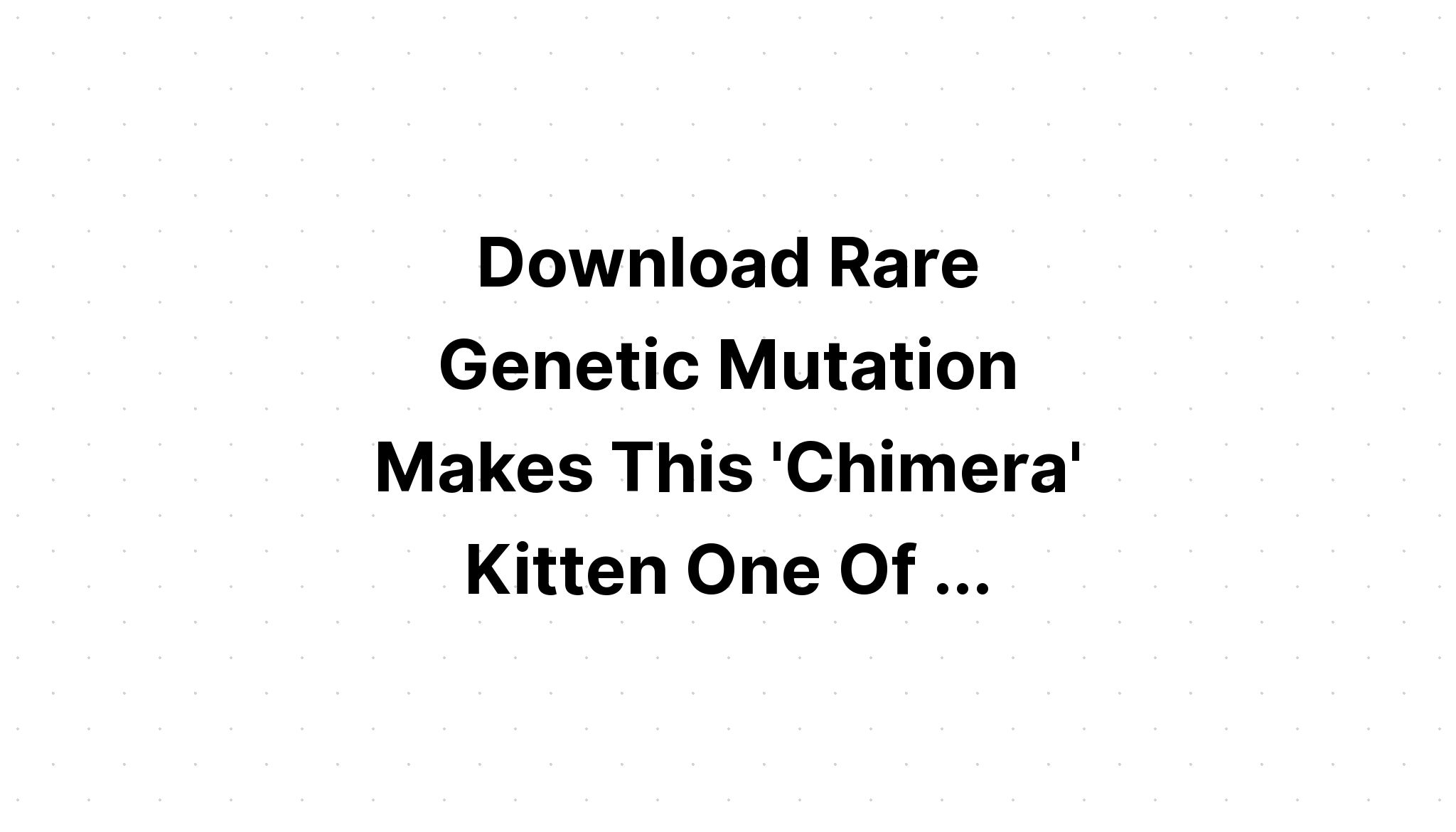 Download Cats Are In My Dna They Makes SVG File